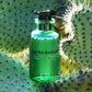 Louis Vuitton Cactus Garden