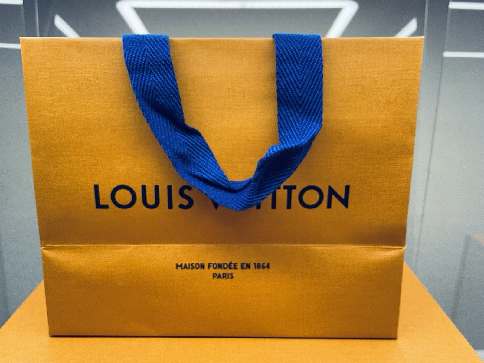 Authentic LOUIS VUITTON 8.75 X 7 X 4.5” Paper Gift/Shopping Bag