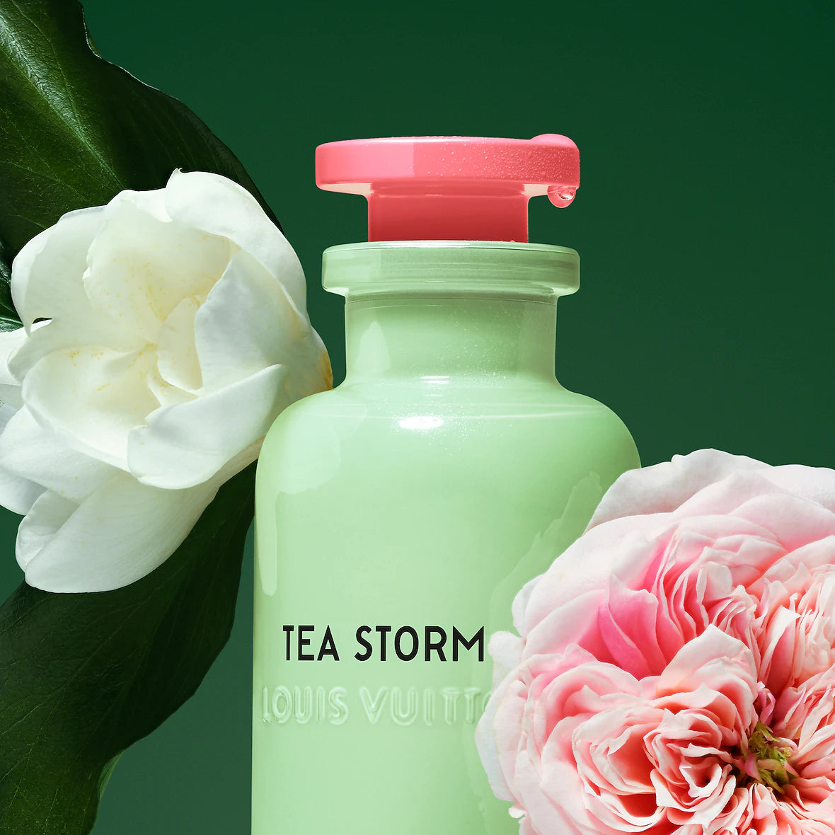 Louis Vuitton Tea Storm